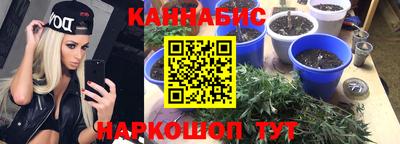 герыч Кингисепп