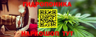 эйфоретик Кинель