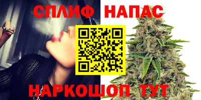дживик Кимры