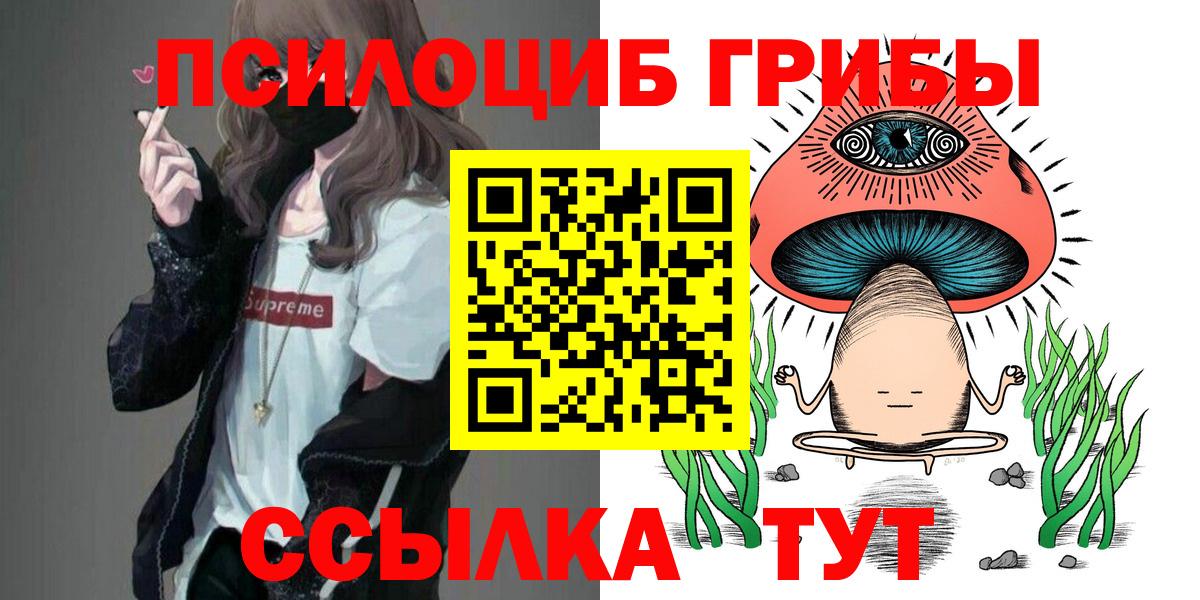 Галлюциногенные грибы Magic Shrooms  Галлюциногенные грибы Psilocybine cubensis  Королёв  Вход с VPN 
