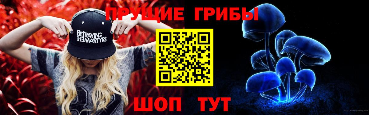Псилоцибиновые грибы Psilocybine cubensis Королёв